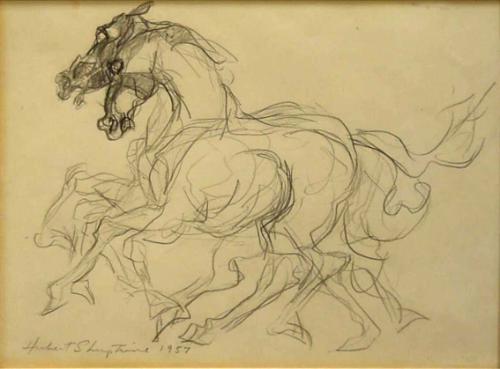 Study of Horses