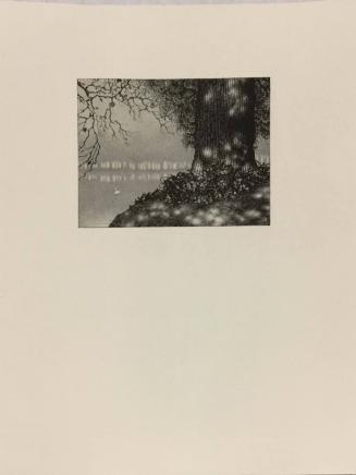 Untitled (landscape with swan) (from Twenty-Seven Landscapes)