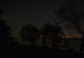 © Jeanine Michna-Bales